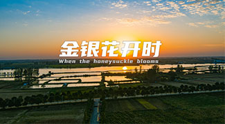 &#20061;&#28216;&#23448;&#26041;&#31449;&#32593;&#39029;&#29256;&#45;&#20061;&#28216;&#40;&#20013;&#22269;&#41;